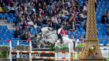 VDL Stud and KWPN Online Foal Auction join forces in 4th collection!