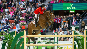 Oldenburg Foal Auction: World Cup ahead