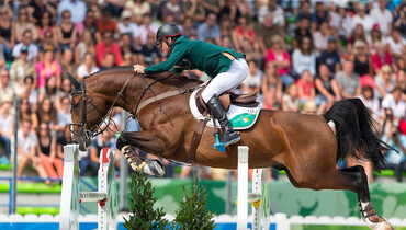 From the proven blood of Tangelo van de Zuuthoeve to the exclusive Grand Prix sire All Star