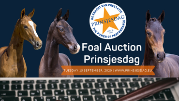 Auction order of go Foal Auction Prinsjesdag revealed; register now as an online bidder!