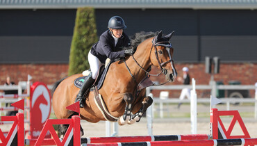 From youngster to international Grand Prix horse: Arkuga