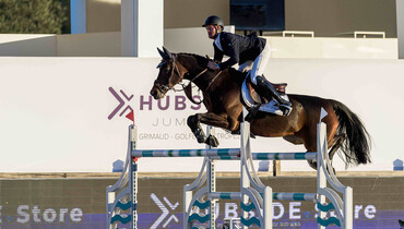 Niels Bruynseels and Frenchy VDS best in the CSI3* 1.50m Grand Prix at Hubside Jumping