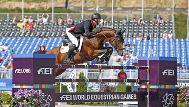 Utamaro d'Ecaussines retires from the sport