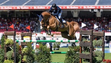 William Funnell introduces The Billy Stud Elite Online Auction