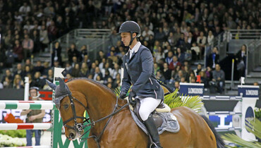 Nino des Buissonnets back in the ring