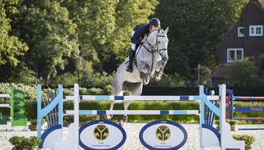 Modern sporthorses in 3rd edition of The Youngsters