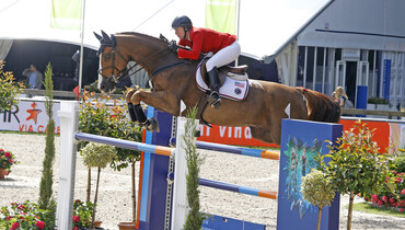 Callan Solem’s VDL Wizard retires from the sport