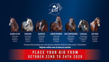 3. ESI Online Auction “Cloud Seven” starts with 7 Elite Youngster today to Saturday 24th October 2020
