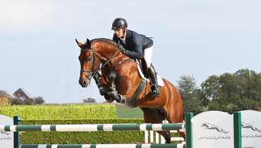 Holger Hetzel’s 16th International Sport Horse Sales: The auction catalogue is online