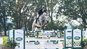 Holger Hetzel Sport Horse Sales presents: Boom