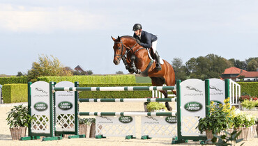 Holger Hetzel Sport Horse Sales presents: Dance Monkey