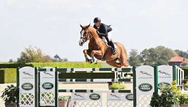 Holger Hetzel Sport Horse Sales presents: Freestyler