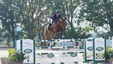 Holger Hetzel Sport Horse Sales presents: Higher Love