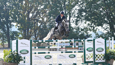Holger Hetzel Sport Horse Sales presents: Honour