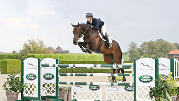 Holger Hetzel Sport Horse Sales presents: Lover Boy