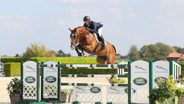 Holger Hetzel Sport Horse Sales presents: Tik Tok