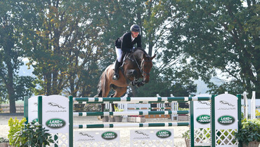 Holger Hetzel Sport Horse Sales presents: Your Man