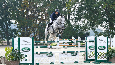 Holger Hetzel Sport Horse Sales presents: Sandro Blanc