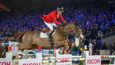 Sensational breeding mares and exclusive embryo by Aganix du Seigneur!