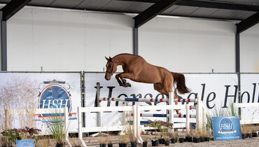 Sixth edition of HSH Auction ready for take off