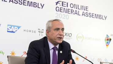The FEI Online General Assembly: Summary of key discussions