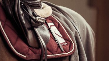 The Auction® reveals an exceptional winter collection of Europe's emblematic bloodlines and talents