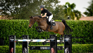 Bidding begins for the Palm Beach Auction