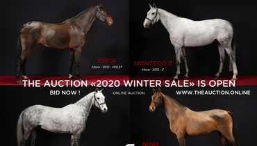 The Auction 2020 Winter Sale: Let the show begin!
