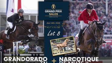Grand Prix Sales Embryo Auction: Happy Holidays shopping with Olympic medal & Grand Prix winners!
