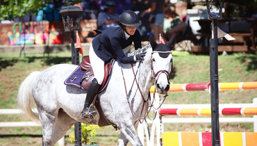 Cayleigh Triggol: “We feed Equine74 Gastric to all of our horses as a maintenance product to help prevent issues with gastric ulcers and colic”