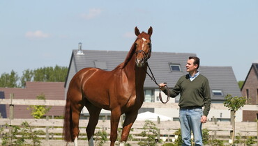 Luc Henry flies away to pursue other passions: the total and unique sale of a leading breeder