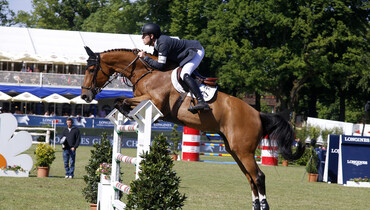 Hello Sanctos back on top as the world’s best horse