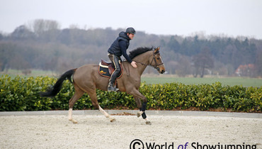 Images | Visiting Alex Duffy at Hanley Sporthorses