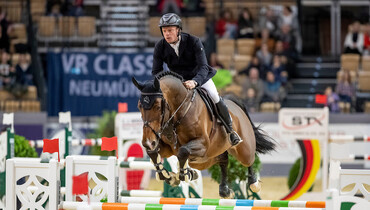 A rare chance to buy top progeny