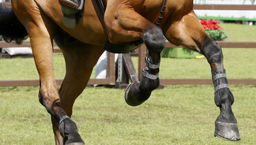 This weekend's CSI2* Grand Prix winners