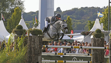 From youngster to international Grand Prix horse: Mumbai