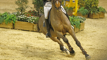 Jonathan Gordon wins the CSI2* Grand Prix in Lier
