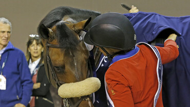 From youngster to international Grand Prix horse: Breitling LS