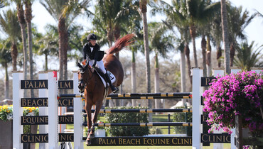 Wilton Porter and Diamonte Darco dominate in the $37,000 Palm Beach Equine Clinic 1.45m qualifier CSI2*