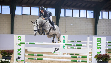 WEF Sport Horse Auction 2021 goes live and online