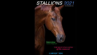 Who are the best stallions for the upcoming breeding season?