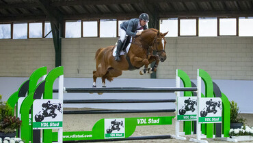 Today: Live presentation of the WEF Sport Horse Auction collection with online streaming