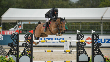 Dermott Lennon and  MJM Pursuit to the top at the Sunshine Tour