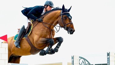 Ekestrian is back in March with coverings, straws, foals to be born, broodmares and young horses presented in two auctions!