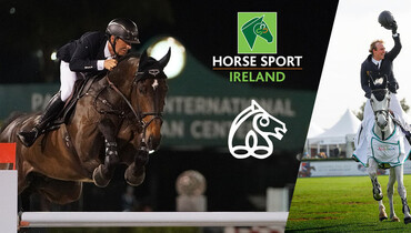 Irish Sport Horses sparkle and shine!