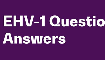 FEI with Q&As in their EHV-1-hub