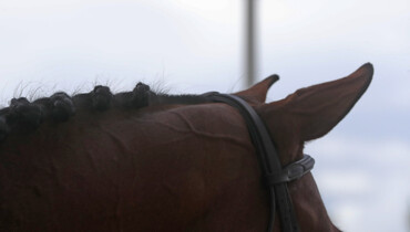 This weekend's CSI2* Grand Prix winners