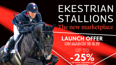 European launch of Ekestrian Stalllions, the new marketplace to compare and order in one click the best stallions, at the best price!
