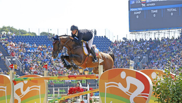 Apardi: “A gorgeous stallion and a true natural athlete”