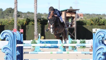 Poden Farms acquires the talented 7-year-old Jappeloup